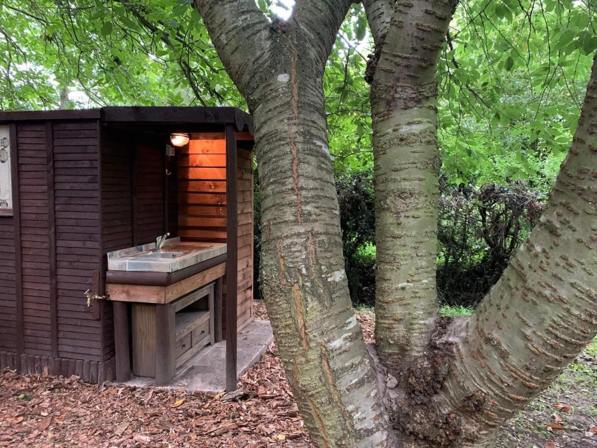 Villa Starry Meadow & Rescued Animal Experiences Great Yarmouth Exterior foto