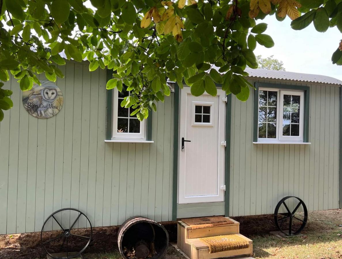 Villa Starry Meadow & Rescued Animal Experiences Great Yarmouth Habitación foto