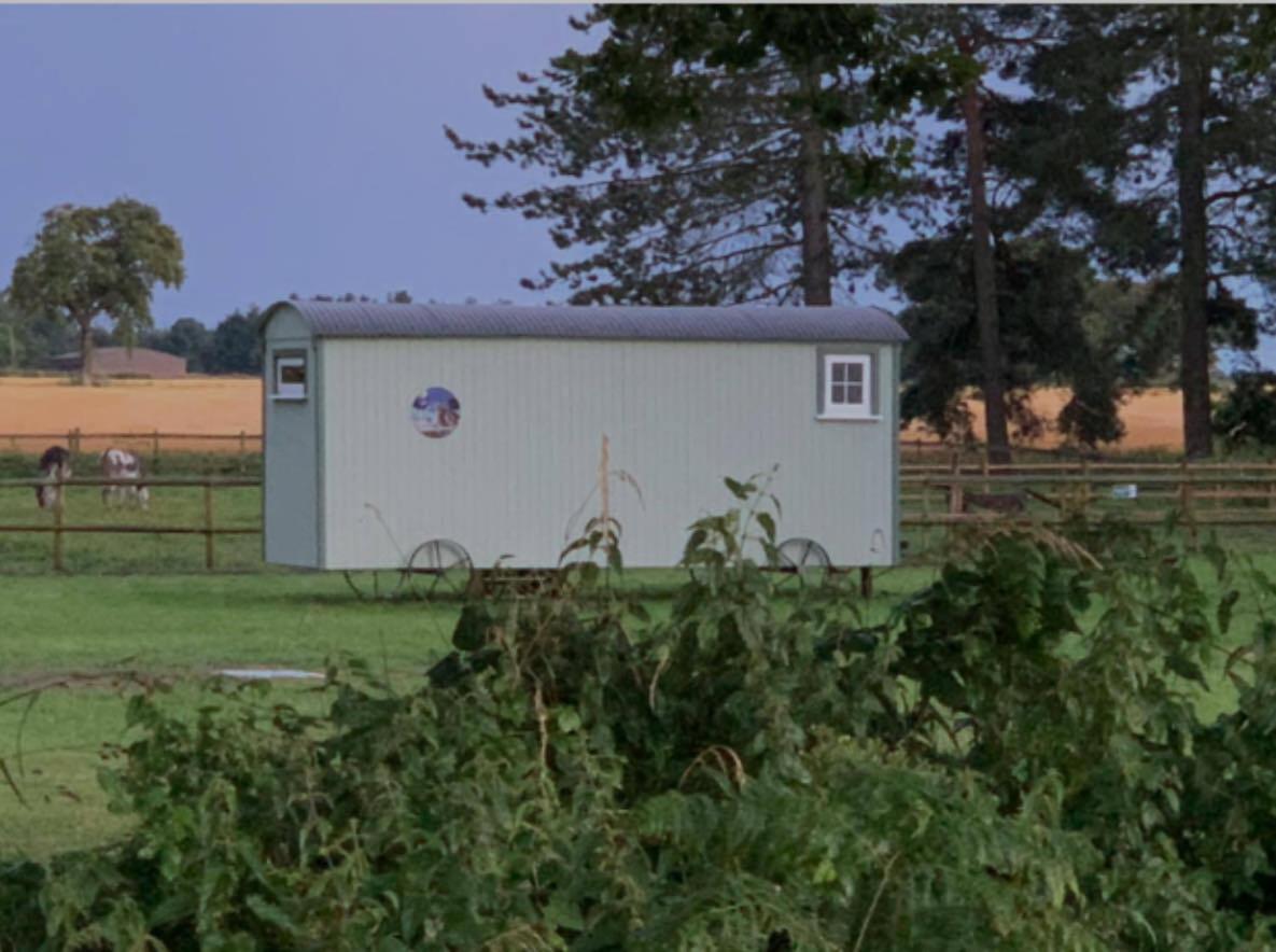 Villa Starry Meadow & Rescued Animal Experiences Great Yarmouth Exterior foto