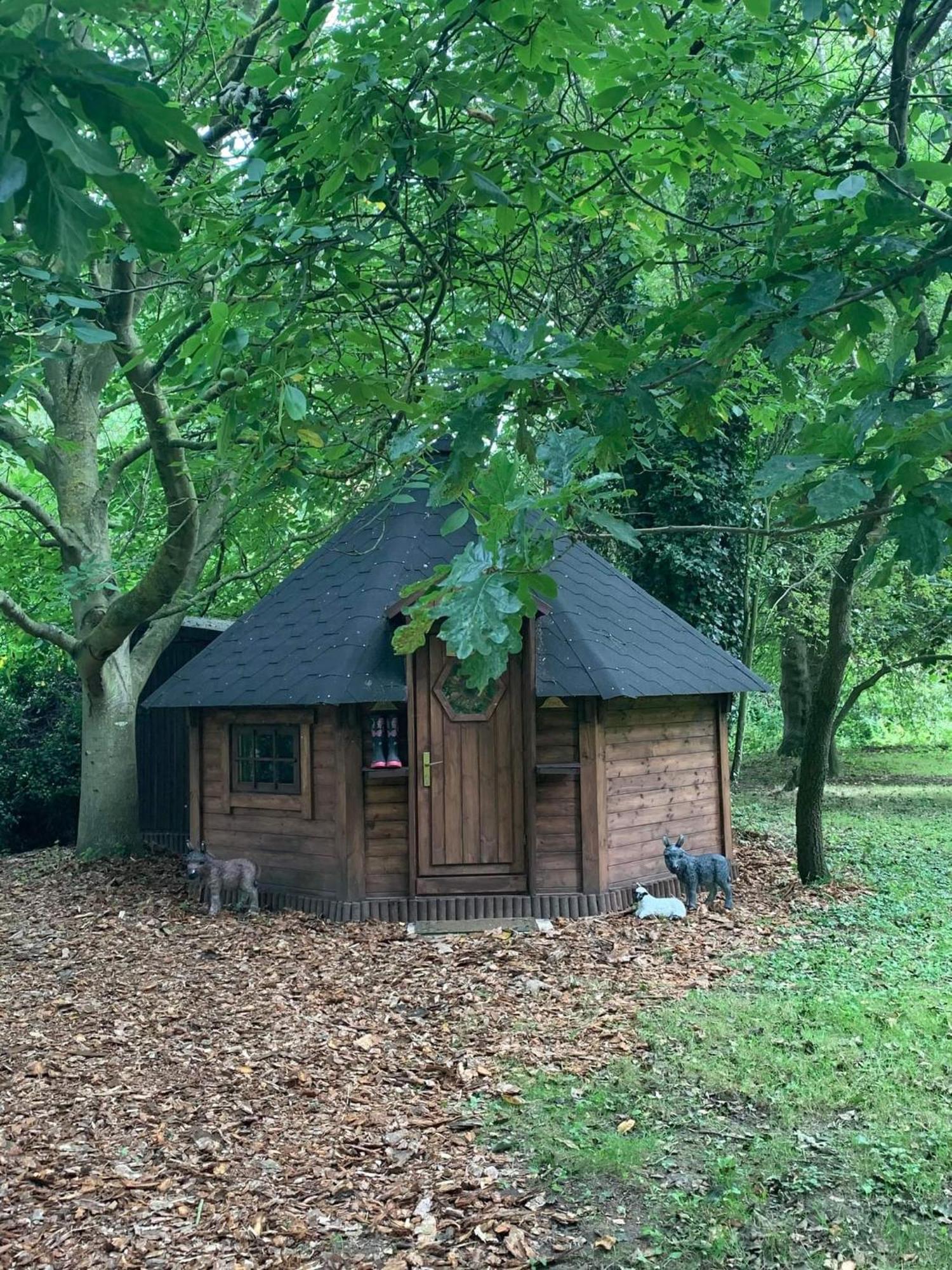 Villa Starry Meadow & Rescued Animal Experiences Great Yarmouth Habitación foto